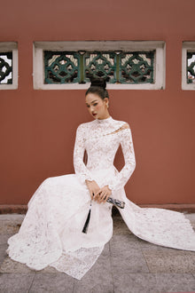 Ao Dai Diên Vũ